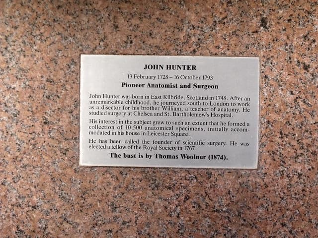 John Hunter brass plaque