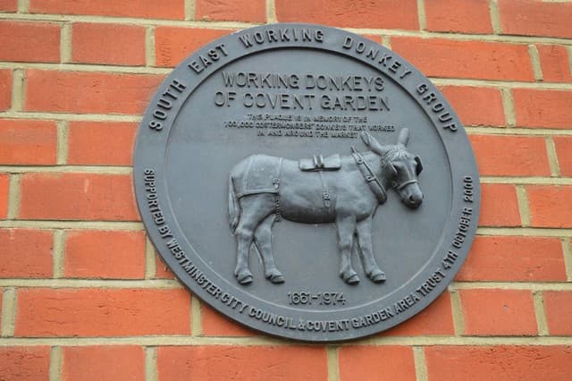 Working Donkeys black plaque