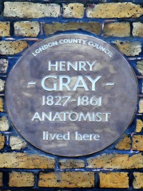 Henry Gray brown plaque