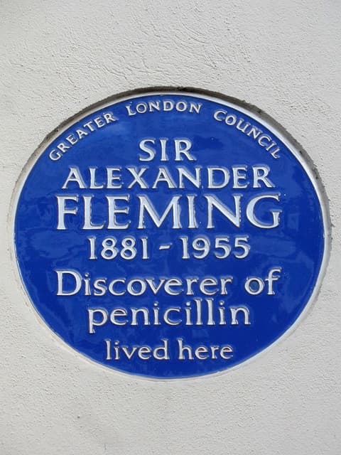 Alexander Fleming blue plaque